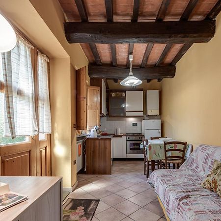 Agriturismo Il Ponte - Frantoio 비키오 외부 사진