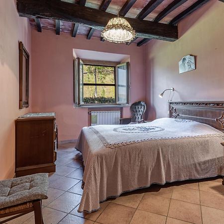 Agriturismo Il Ponte - Frantoio 비키오 외부 사진
