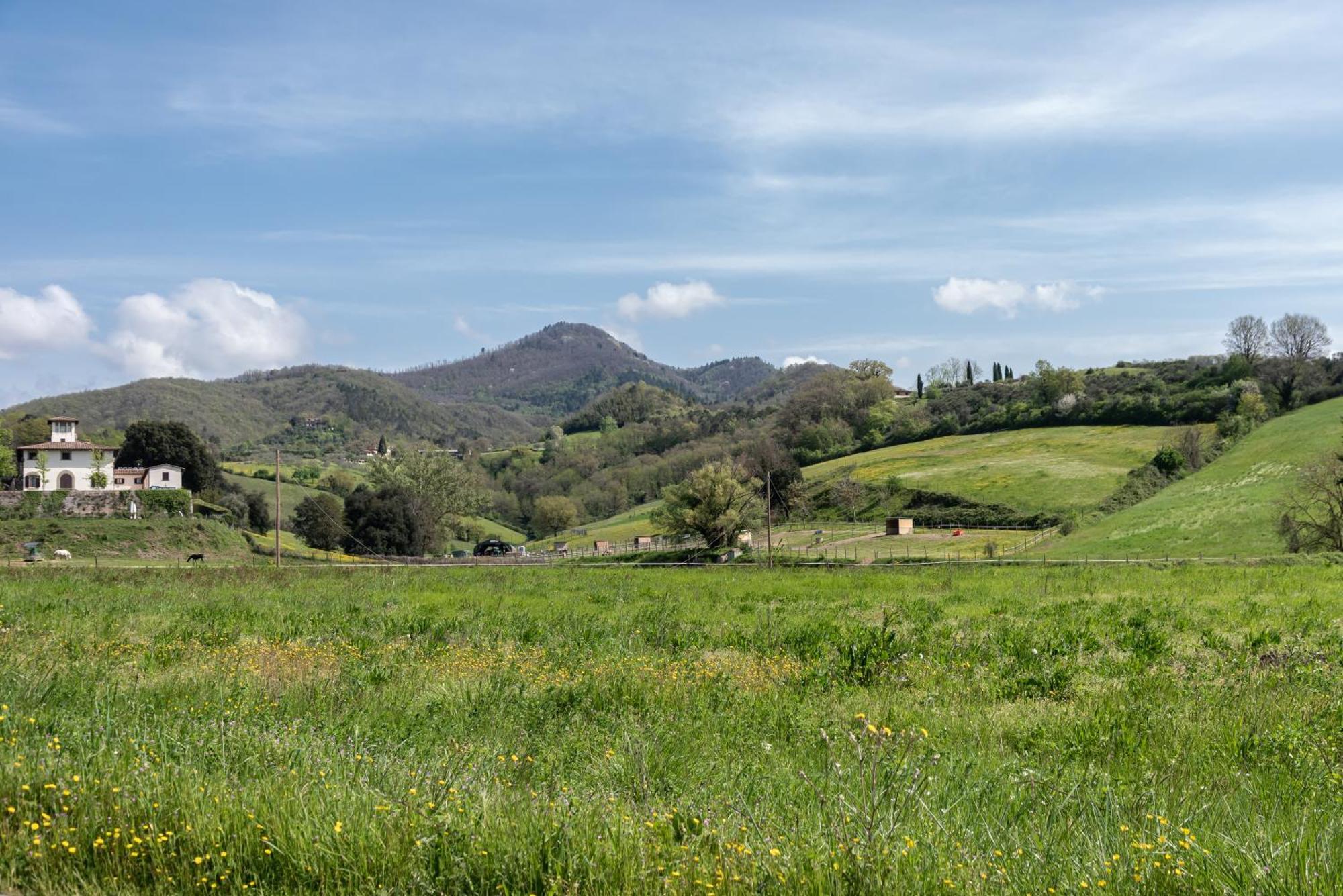 Agriturismo Il Ponte - Frantoio 비키오 외부 사진